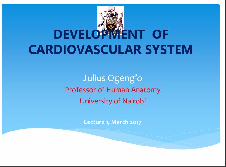 No preview available